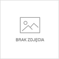 Rusztowania elewacyjne, ogrodzenia | wynajem, montaż, transport